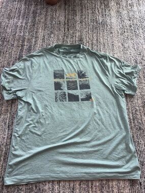American Eagle Outfitters Sage Green Graphic Crew Tee